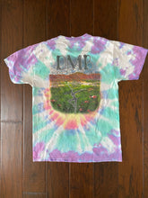 Load image into Gallery viewer, Dave Matthews Band “2009 Summer Tour” Vintage Distressed T-shirt

